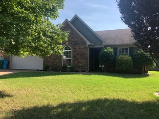 8163 Delta Lakes Blvd, Walls, MS 38680