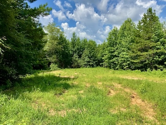 806 Pettijohn Creek Rd, Henry, TN 38231