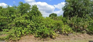 404 North Ave, Lehigh Acres, FL 33972