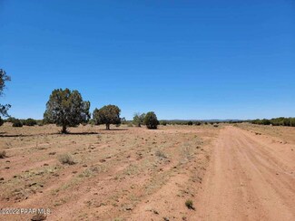 01 Denny 5, Seligman, AZ 86337