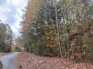 00 S Washburn St, Converse, LA 71419