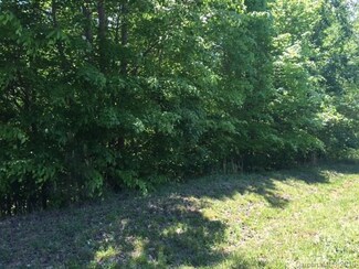 Lots 24-25 Long Cedar Ln Unit 24-25, Alexis, NC 28006