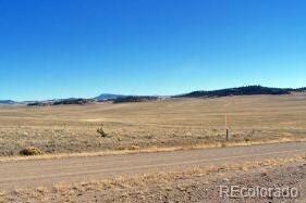 529 Bridle Path, Hartsel, CO 80449
