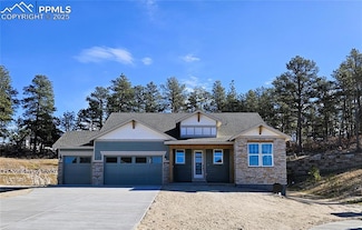16229 Gammon Ct, Monument, CO 80132