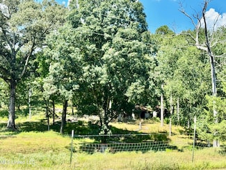 274 Everett Church Rd, Mendenhall, MS 39114