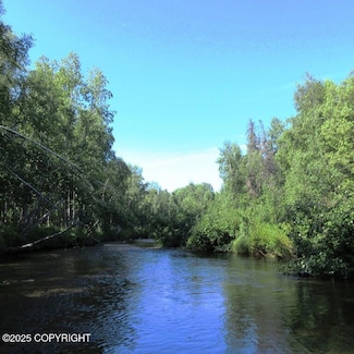 93 S Parks Hwy, Willow, AK 99688