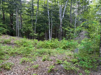 Map 5 Lot 20-4 Black Brook Rd, Sanbornton, NH 03269