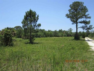 0 Dennis Howell Rd Unit 271200, Perry, FL 32348