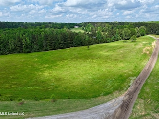 0 Sandy Ln Unit 23453220, Flora, MS 39071