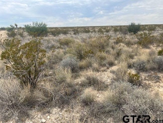 14760c Rogers Pid, Terlingua, TX 79852