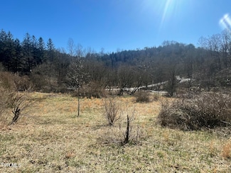 168 Osborne Ridge Rd, Dungannon, VA 24245