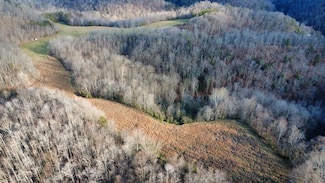 104 Ramey Branch, Flatgap, KY 41219