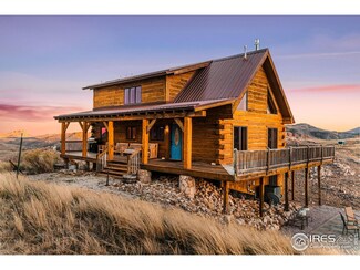 113 Purple Mountain Ct, Livermore, CO 80536