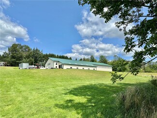 361 Palmiter Rd, Harpursville, NY 13787