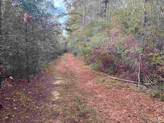 0 Ryan Rd, Crestview, FL 32539