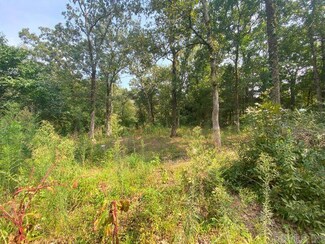 13 Brookwood Ln, Greenbrier, AR 72058