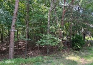 125 Lechmere Dr, Crossville, TN 38558