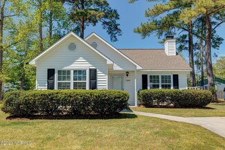 3209 S Woolwitch Ct, Castle Hayne, NC 28429