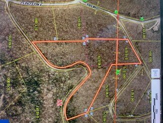 000 Cedar Ridge Ln, Cape Fair, MO 65624