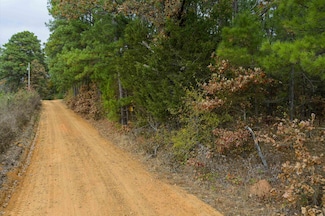 TBD Grace Scott Cutoff, Karnack, TX 75661