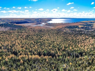 0 Hubbard Lake Rd Unit 25571195, Hubbard Lake, MI 49747