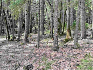 Lot 9,Block H Simpson Ave, Dunsmuir, CA 96025