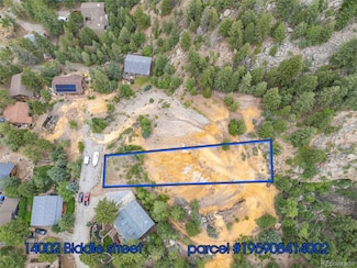 000 Lot 4 Block 55 St, Georgetown, CO 80444