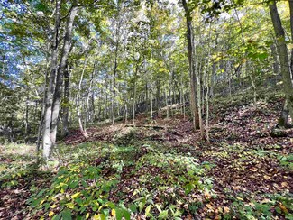 8143 S Coal Hollow Rd, Williamsport, IN 47993