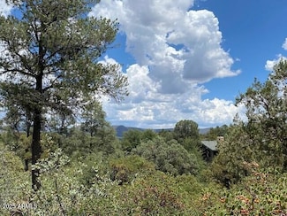 2316 E Blue Bell Cir Unit 142, Payson, AZ 85541