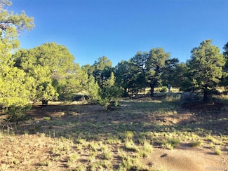 3514 Forest Trail Overlook, Crestone, CO 81143