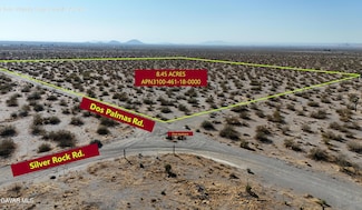 0 Dos Palmas Unit 25004506, Pinon Hills, CA 92372