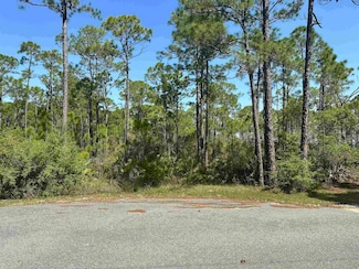 X Cessna Ln, Panacea, FL 32346