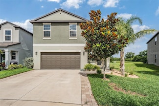 5522 Appleton Shore Dr, Apollo Beach, FL 33572