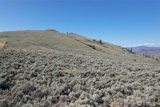 111 Tbd Abie Ln, Tonasket, WA 98855