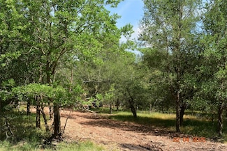 240 Caney Creek Rd, New Braunfels, TX 78130