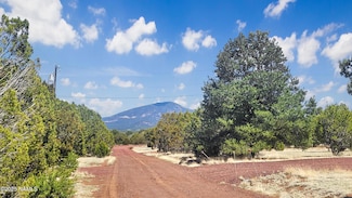 1385 E Birchwood Dr, Williams, AZ 86046