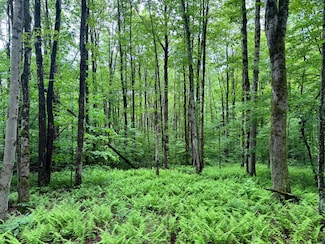 Jones Rd, McDonough, NY 13801