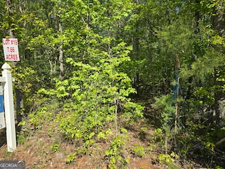 LOT 19 Smith Rd, Thomaston, GA 30286