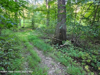 188 Old Stage Rd, Saugerties, NY 12477