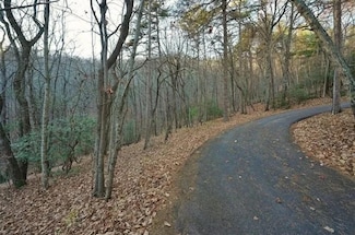 226 Crested Fern Ln, Jasper, GA 30143