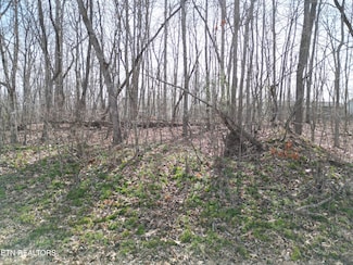 3 Tama, Crossville, TN 38572