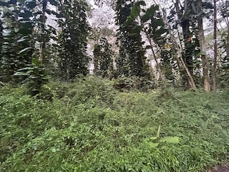 0 Hilo Rd Unit 716268, Pahoa, HI 96778