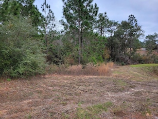 118 Tranquility Dr, Crestview, FL 32536