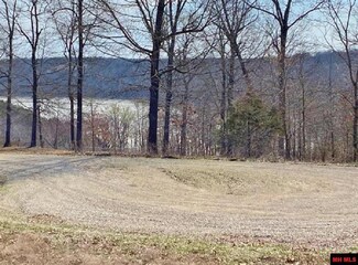 0 Lakepointe Dr, Pigeon Township, AR 72623