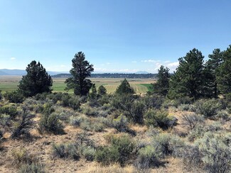 0 Beatty Dr Lots 2800 & 2900 Unit 102981747, Sprague River, OR 97639
