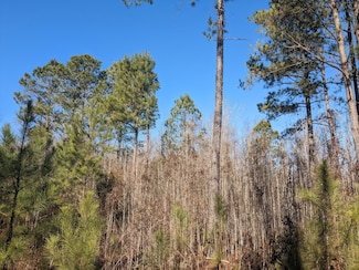 0 Elkwood Ln, Camden, SC 29020