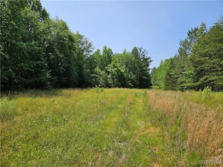 39.27 Acres Amelia Springs Rd, Jetersville, VA 23083
