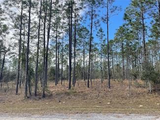 0 133 Avenue Se Ave Unit MFRTB8447618, Dunnellon, FL 34431