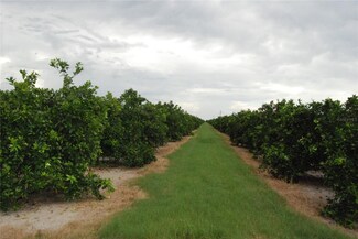 0 NE Highway 70 Unit 3-21-50 MFRO6238093, Arcadia, FL 34266