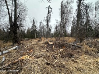 L3 B1 Asa Hills, Wasilla, AK 99654